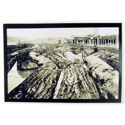 3138 - LOGGING PHOTO APPROX 4.5 X6"