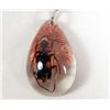 Image 1 : 1443 - BEETLE AND FLOWER IN CLEAR RESIN KEY CHAIN - 1.5"