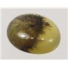 Image 1 : 2866 - 6.47 CT NATURAL YELLOW MEXICAN MOSS OPAL