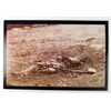 Image 1 : 3004 - GROSOME DEAD SOLDER PHOTO APPROX 4.5 X6"
