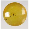 Image 1 : 417 - 39.36 CT. YELLOW MEXICO OPAL ROUND WITH  CHECKERBOARD