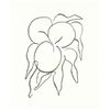 Image 1 : MATISSE 1964 LTD. ED. ORIGINAL LITHOGRAPH