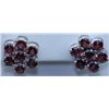 Image 1 : 26.25 CTW GARNET EARRING .925 STERLING SILVER