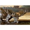 Image 2 : Magnificent Bronze Sculpture Moose in the Marsh