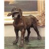 Image 2 : Great Bronze Sculpture Retriever - Hunting Dog