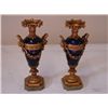 Image 1 : ET0503120148 Pair of Gilt metal sevres style vases on m