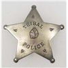 Image 1 : 10777 - INDIAN TRIBAL POLICE LAW BADGE