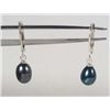 Image 1 : 10487 - AKOYA BLACK PEARL EARRINGS