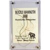 Image 1 : 9204 - WOOLLY MAMMOTH HAIR IN CASE