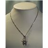 Image 1 : Xena WP Sterling Silver Pendant & Chain