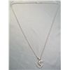 Image 1 : Sterling Silver Dragon Pendant & Long Chain