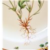 Image 3 : ROYAL COPENHAGEN FLORA DANICA PORCELAIN PLATE