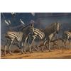 Image 3 : ORIGINAL KIM DONALDSON OIL PAINTING OF ZEBRA