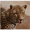 Image 4 : ORIGINAL CRAIG BONE GICLEE OF TWO LEOPARDS