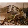 Image 5 : ORIGINAL CRAIG BONE GICLEE OF TWO LEOPARDS