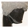 Image 5 : TAKAWIERA CARVED BLACK STONE SCULPUTRE OF FACE