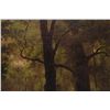 Image 3 : ALEXANDER WYANT OIL ON CANVAS OF FOREST SCENE