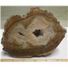 Image 1 : Cut & Coated Banded Agate & Quartz Geode