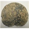 Image 8 : Cut Geode w/Botryoidal & Angular Crystals