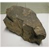 Image 8 : Dinosaur Coprolite w/Undigested Object