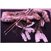 Image 1 : Fox Fur Pelt Quiver w/2 Arrows