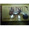 Image 1 : LEWIS & CLARK COIN & CURRENCY SET