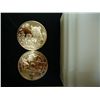 Image 1 : ROLL OF 20-1 OUNCE ADVP PANDA COPPER ROUNDS