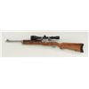 Ruger Mini Thirty semi-auto rifle, 7.62 x 39  cal., 18-1/2” barrel, stainless steel, wood  stock, no