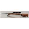 Image 1 : Ruger Model 77 bolt-action rifle, .243 Win.  cal., 24-1/2” round barrel, blue finish,  checkered woo