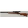 Marlin-Glenfield Model 60 semi-auto rifle,  .22LR cal., 22” barrel, black finish, wood  stock, #2715