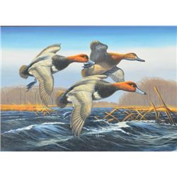 Original oil on board signed low center “A.  Anderson”, showing wildfowl, approx. 16” x  22”, excell