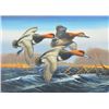 Image 1 : Original oil on board signed low center “A.  Anderson”, showing wildfowl, approx. 16” x  22”, excell