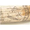 Image 3 : Cast material to resemble tusk with  panographed 19th century scrimshaw. 23".  Great display. patrio