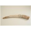 Image 6 : Cast material to resemble tusk with  panographed 19th century scrimshaw. 23".  Great display. patrio