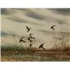 Image 1 : Print entitled “Pintails” by David  Hagerbalmer, signed lower right, published  England, 1967, 13-1/