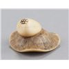Image 1 : An ivory netsuke of a mushroom.