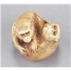 Image 7 : An ivory netsuke of two monkeys.