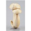 Image 2 : An ivory netsuke of shitake mushrooms.