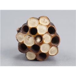 An ivory netsuke of a wasp on its nest.