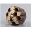 Image 6 : An ivory netsuke of a wasp on its nest.