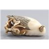 Image 5 : An ivory netsuke of a cockatoo.