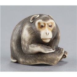 An ivory netsuke of a monkey.
