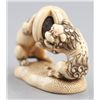 Image 2 : An ivory netsuke of a pair of Shishi.