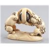 Image 5 : An ivory netsuke of a pair of Shishi.