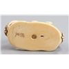 Image 6 : An ivory netsuke of a pair of Shishi.