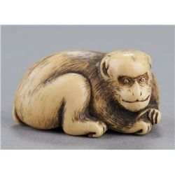 An ivory netsuke of a monkey.