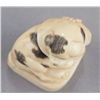 Image 7 : A narwhal ivory netsuke of a Piebald pup.