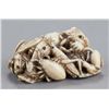 Image 1 : An ivory netsuke of a toad with insects.