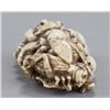 Image 2 : An ivory netsuke of a toad with insects.