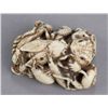 Image 5 : An ivory netsuke of a toad with insects.